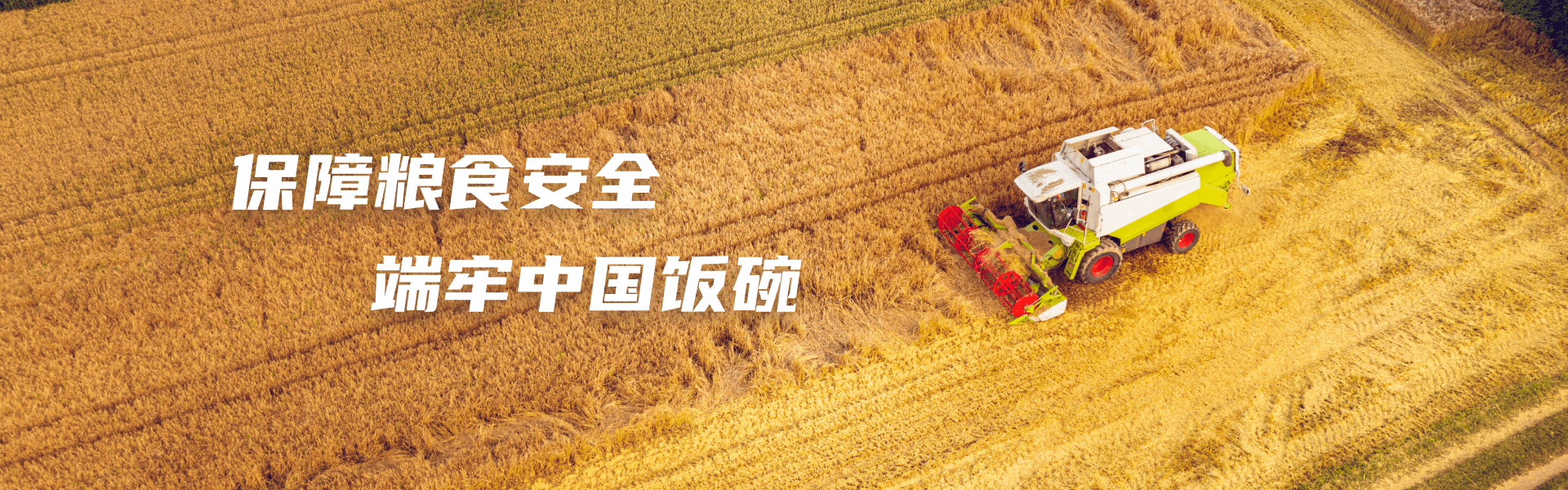 保障糧食安全 端牢中國(guó)飯碗